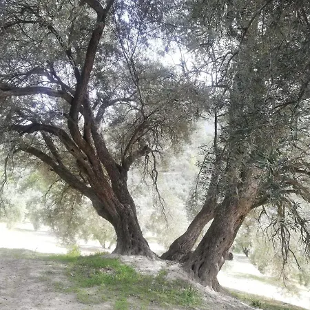 El Cobijo De Sierra Cazorla * Burunchel